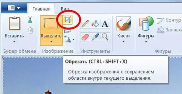 Как обрезать картинку в Ворде