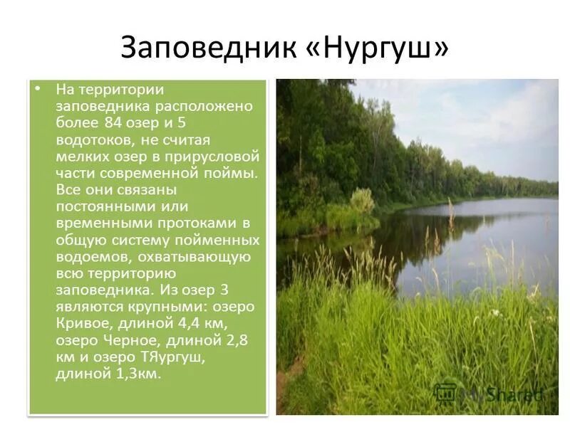Заповедная земля "Нургуша" - Заповедник "Нургуш"