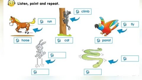 Activity book 4 grade