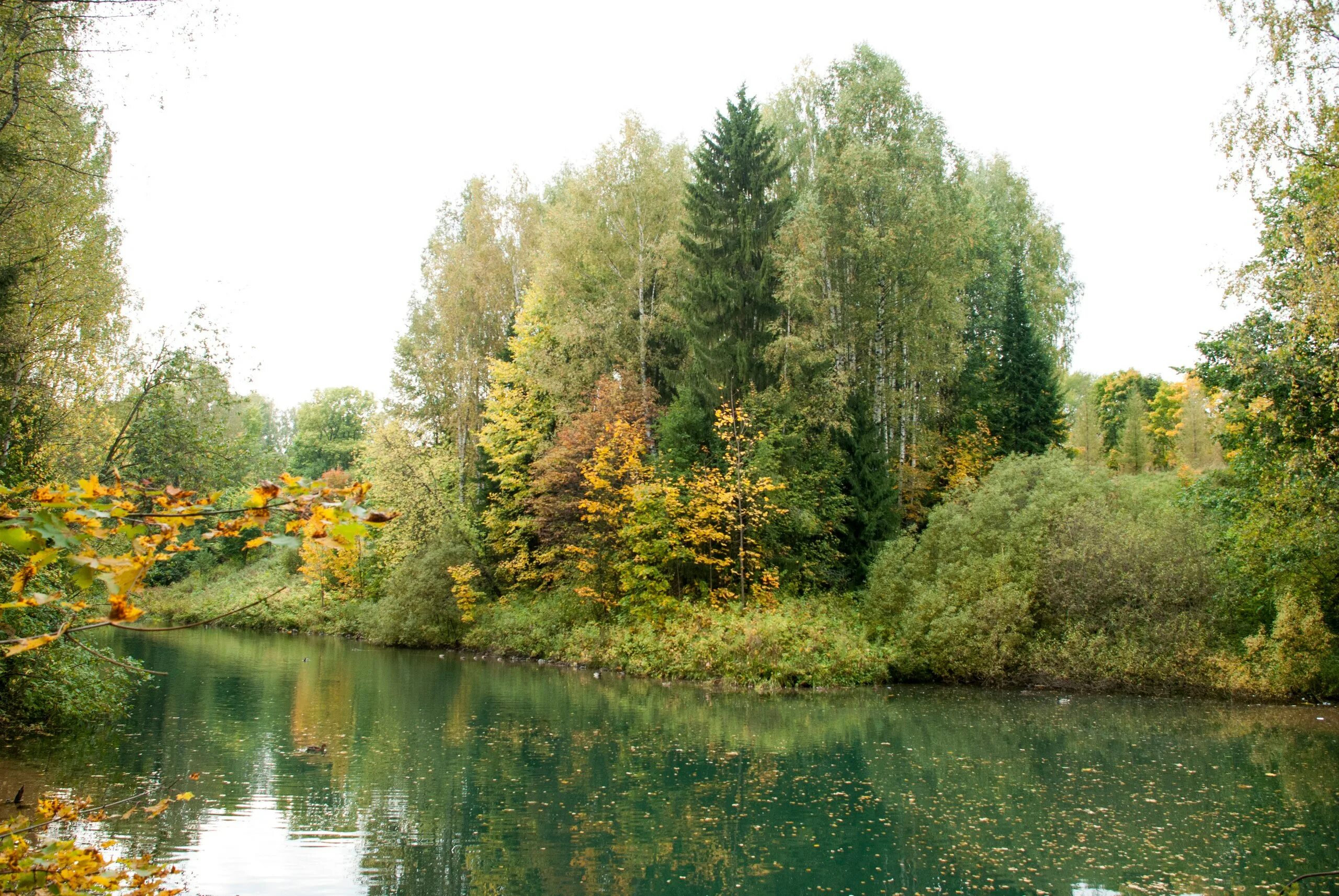 Народное голосование. ТОП-20 фотографий за 20.10.2017 г. ФотоКто