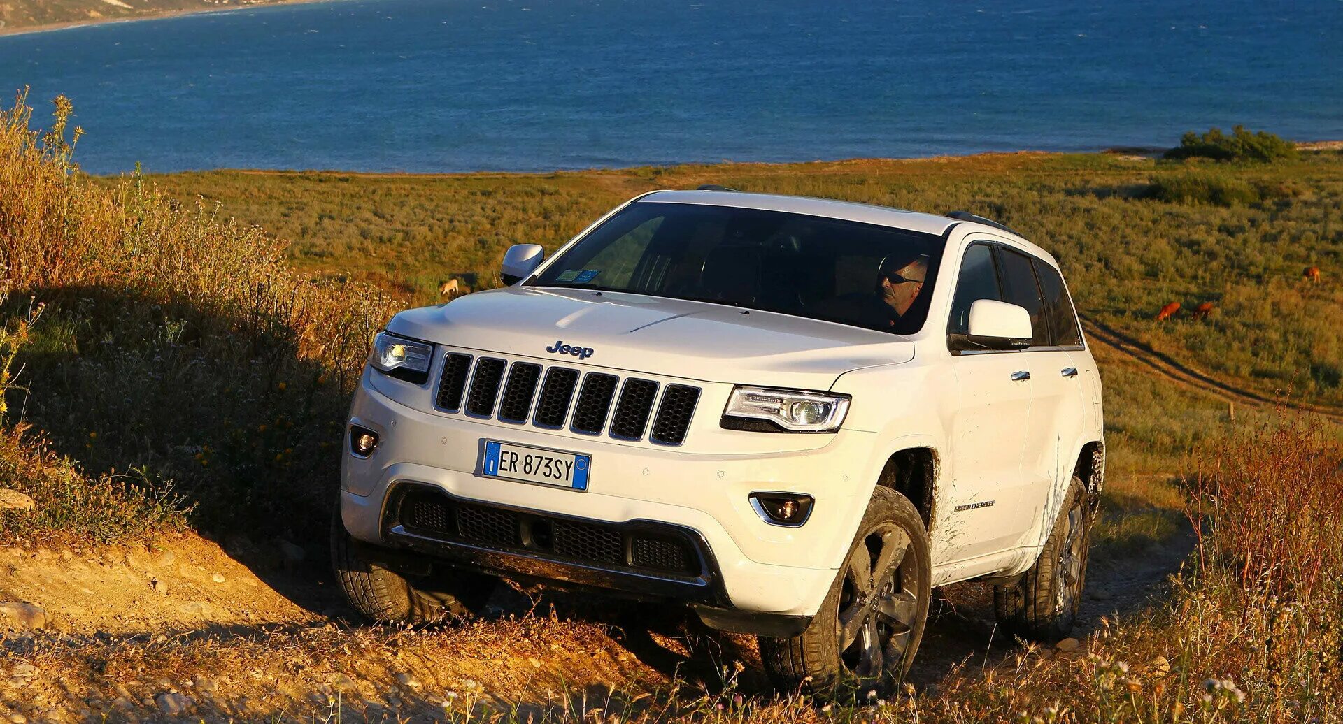 Джип чероки wk2 2011. Jeep grand cherokee 2018. Джип гранд чероки 205. Сервисы гранд чероки. Авилон гранд чероки.