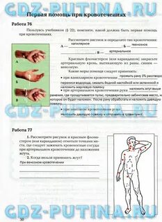 Биология 8 класс драгомилов параграф 2