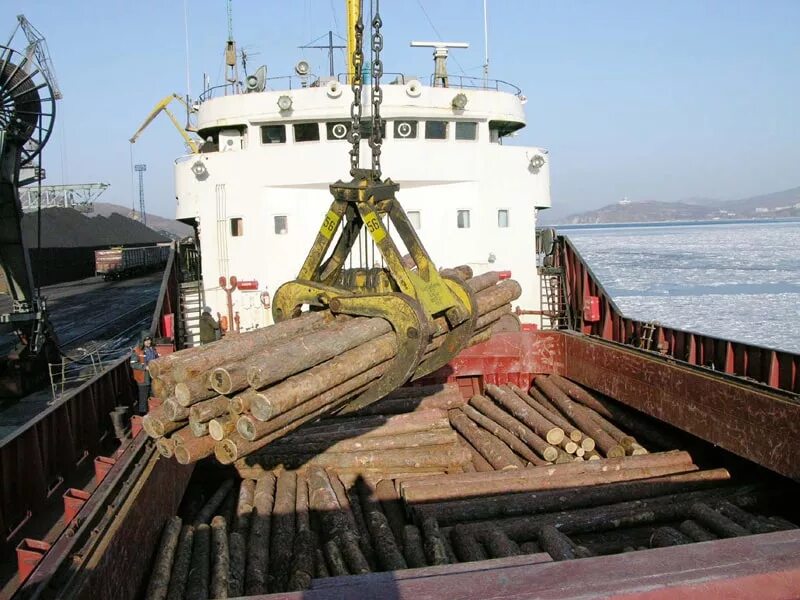 Погрузка грузов на судно. Погрузка леса на судно. Погрузка груза на судно. Погрузка судна в порту. Погрузка круглого леса на судно.