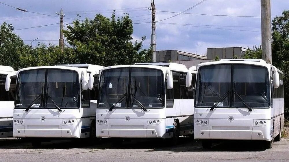Автобус саки симферополь сегодня. Автобус крым. пассажирский автобус. маршрутки крыма. новые автобусы.