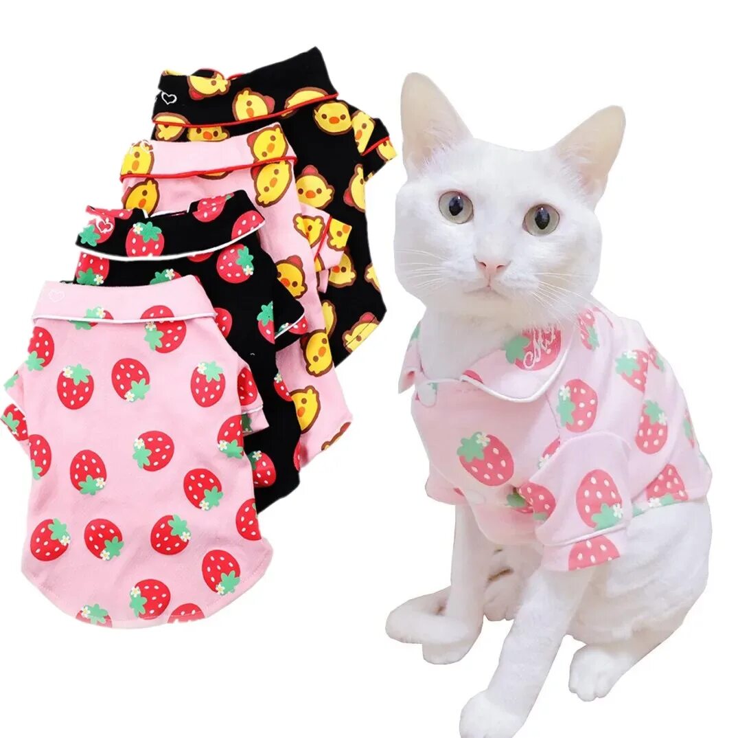 Кошечка с одеждой. Одежда для кошек. Котята в одежде. Летняя одежда для кошек. Одежда для кошечек.