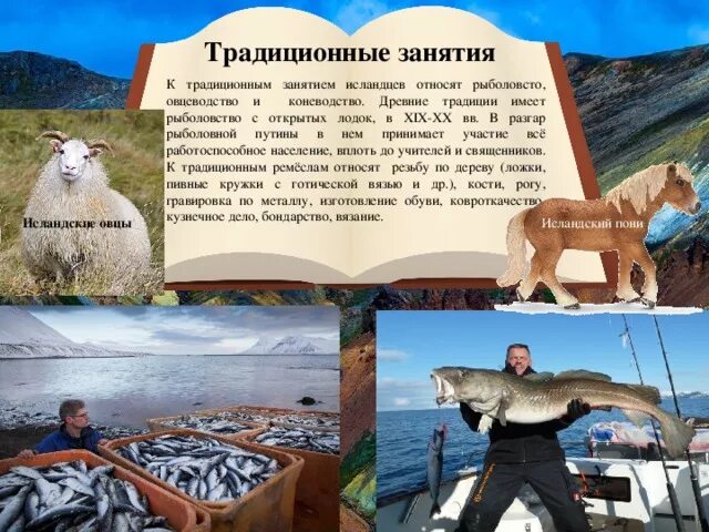 Рыболовство традиционное занятие. Рыболовство как традиционное занятие народов России. Традиционные занятия исландцев. Рыболовство как традиционное занятие народов России 3 класс.