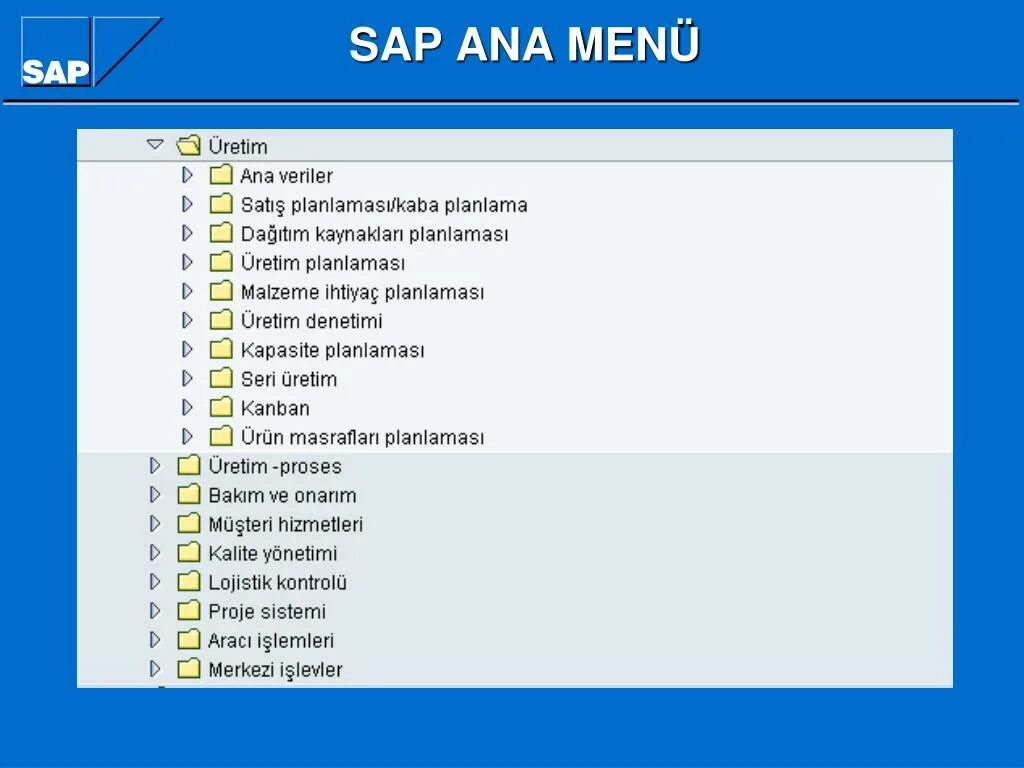 Sap r 3. Модули sap r3. sap r3 интерфейс. программный комплекс sap/r3.. sap r/3 производитель.