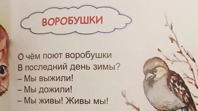 О чем поют воробушки в последний день. Воробушки стихотворение. Стишки про Воробушек. Берестов воробушки. Воробышек глава 36