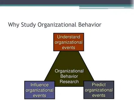 Define behavior