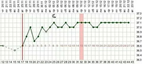 Температура 37.2 на ранних сроках
