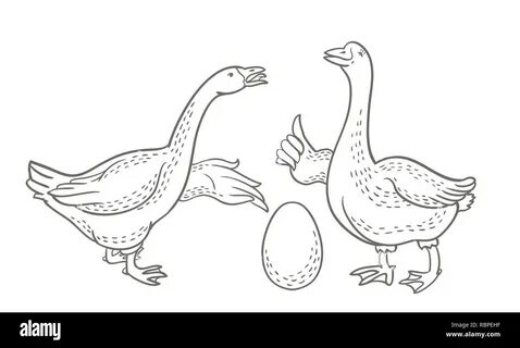 Two geese, goose egg outline drawing, cartoon funny goose isolated on white back