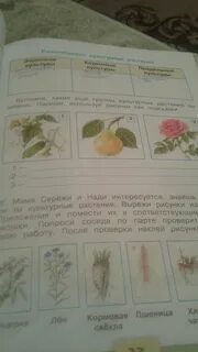 Мама сережи и нади интересуется