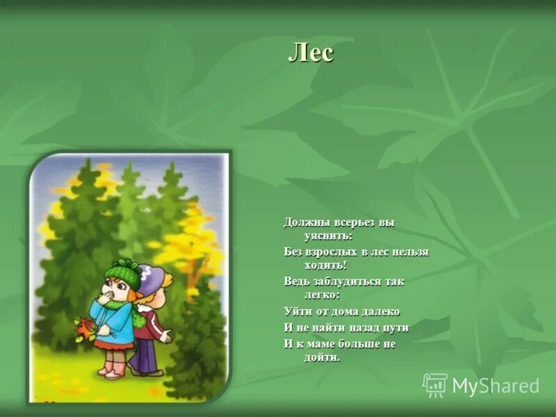 Когда нельзя ходить в лес причины. Не ходи в лес. В лесу нельзя. Стихи для детей о безопасности в природе. Почему нельзя ходить в лес.