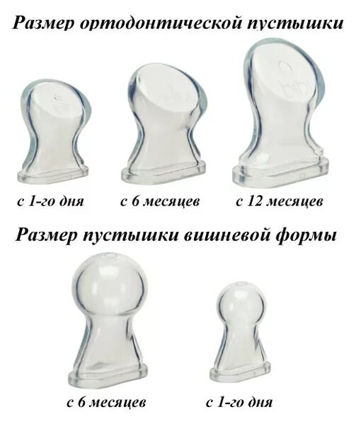 Как выглядят соски у детей Как режутся молочные зубы у детей схема и сроки появления первого зуба