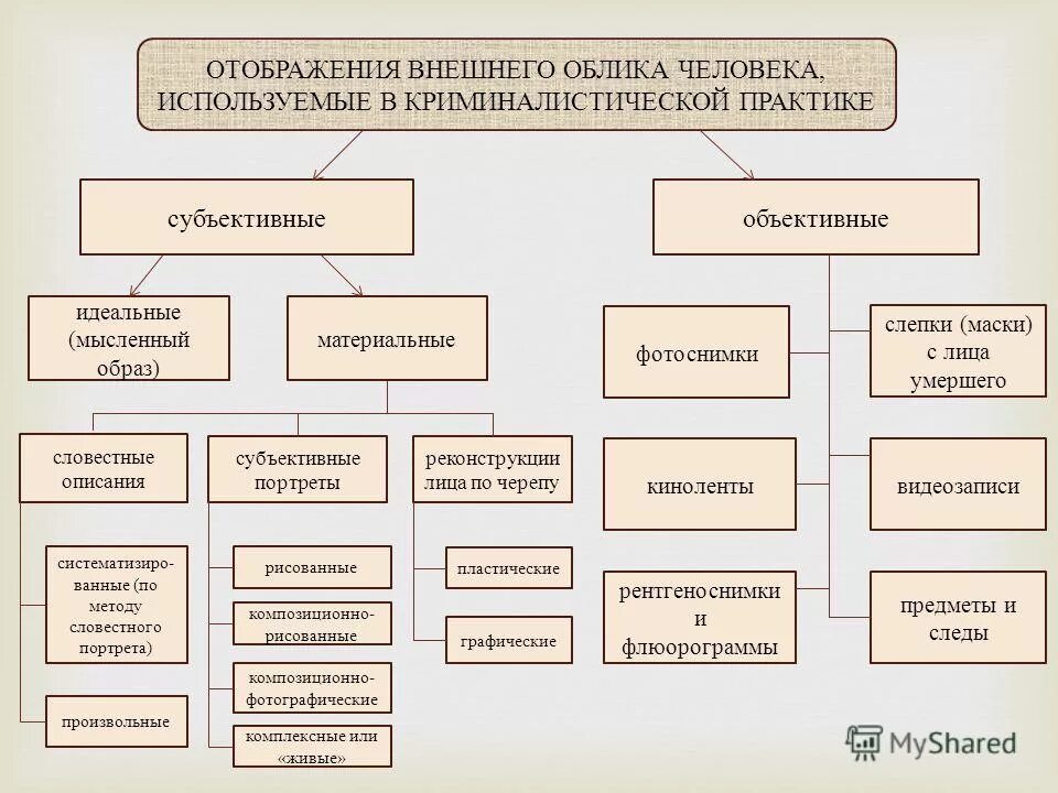 Элементы внешнего облика. Система элементов и признаков внешнего облика человека. Криминалистическая методика таблица. Схему классификации признаков внешности человека. Отображений внешнего облика.