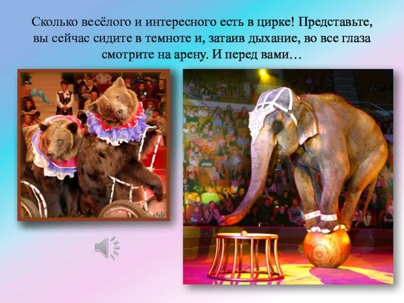 Представление 1 класса
