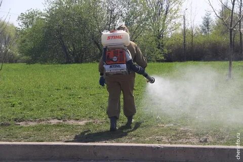 Сейчас обрабатывать