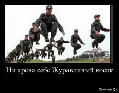 Ни хрена ни хрена песня