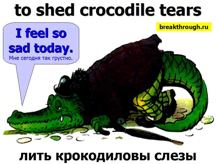 Крокодиловы слезы текст впр. Крокодиловы слезы текст впр
