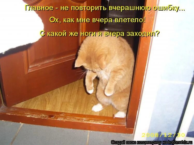 Ни вчера ни сегодня. Кот пришел домой. Хозяин пришел. Котики приколы с надписями. Смешные картинки с котиками и надписями.