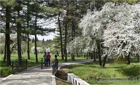 Погода в нальчике в марте 2024 года