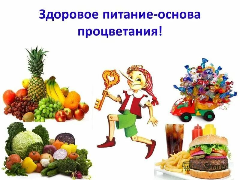 Сообщение о правильном питании. Рациональное питание. Здоровое рациональное питание. Рациональное питание и здоровый образ жизни. Здоровое питание.