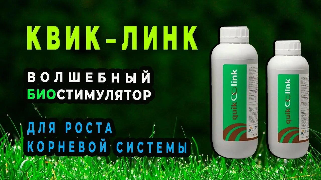 Мегафол и радифарм. Стимулятор роста квик линк. Железо хелат до и после. 5 ап italpollina. Dromone quick link system.