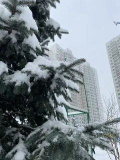 Зима в красноярске 2023