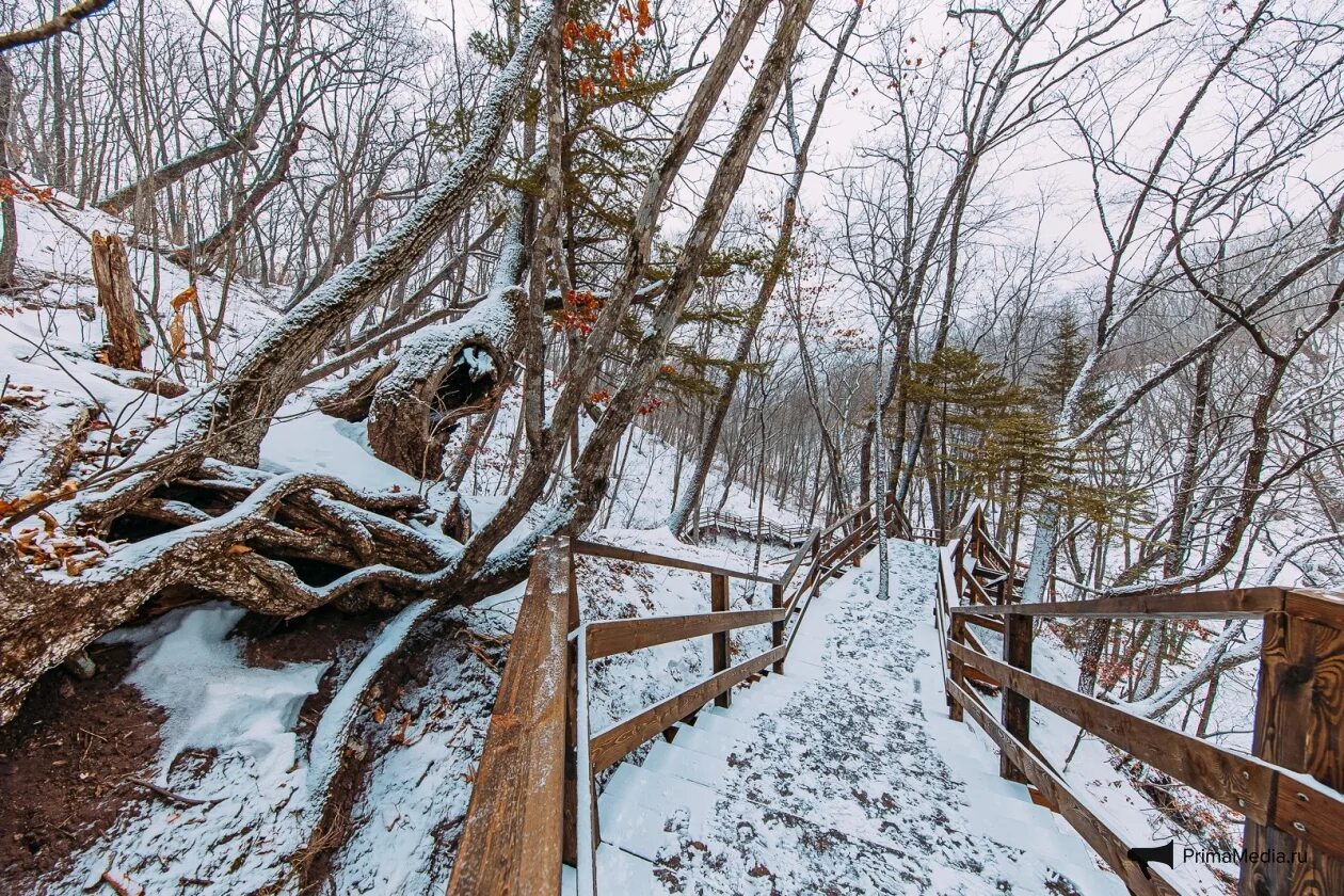 Кравцовские водопады приморский край зимой. Зимняя экологическая тропа в детском саду. Экотропа зимой. Экологическая зимняя тропа. Комаровский берег экологическая тропа.