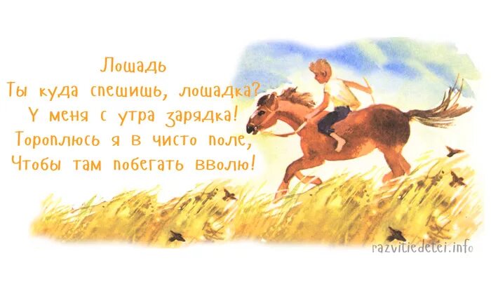 Детские стихи про лошадку. Стихи про лошадь для детей короткие. Стих про лошадь для детей. О лошадях стихи детские. Скачут кони стихотворение