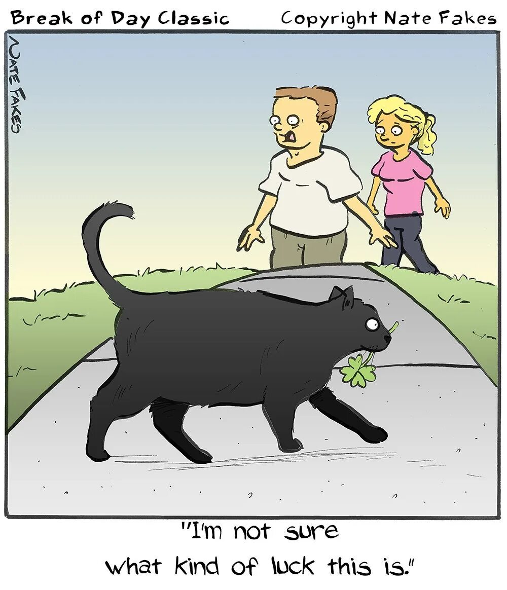 What are you sure of. Humor about superstitions. respect your cat day. broken humor.