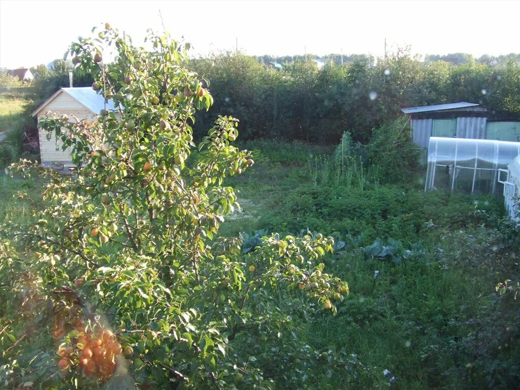 Дача в нагорном город казань. Казань дачная 10г. Ubkmtdsq cnn. Садовое общества пчелка новосибирск. Константиновка казань.