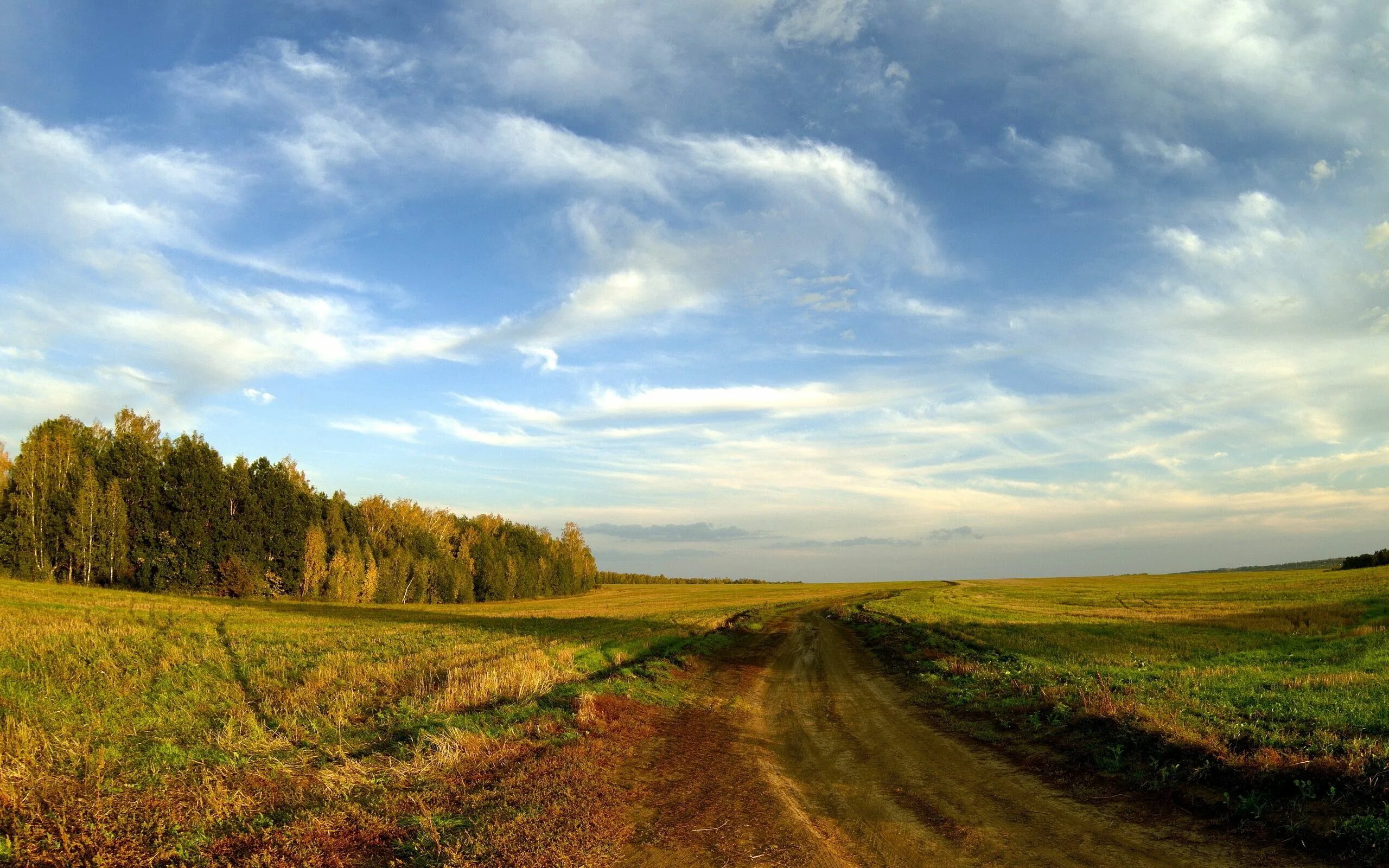 Барабинская лесостепь. Природа Просёлочная дорога Горизонт. Проселочная дорога в поле. Горизонт Проселочная дорога. Величественный простор