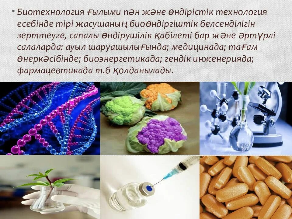Презентация на тему биотехнология. Перспективы развития биотехнологии. Биотехнология презентация. Научные достижения в биотехнологии. Биотехнология презентация.