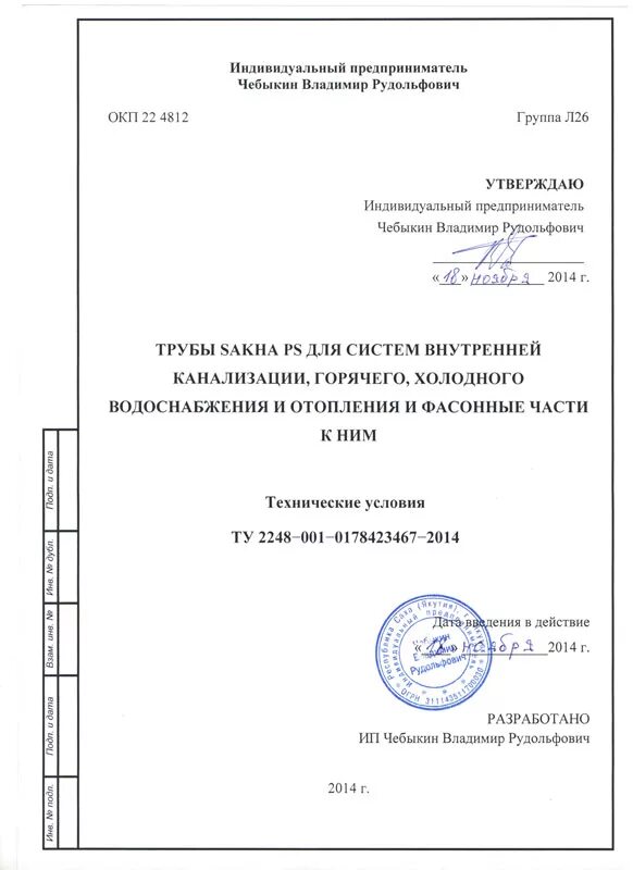 Технические условия документ организации. Технические условия индивидуального предпринимателя. Технические условия на продукцию. Технические условия для ИП. Технические условия на изделие.