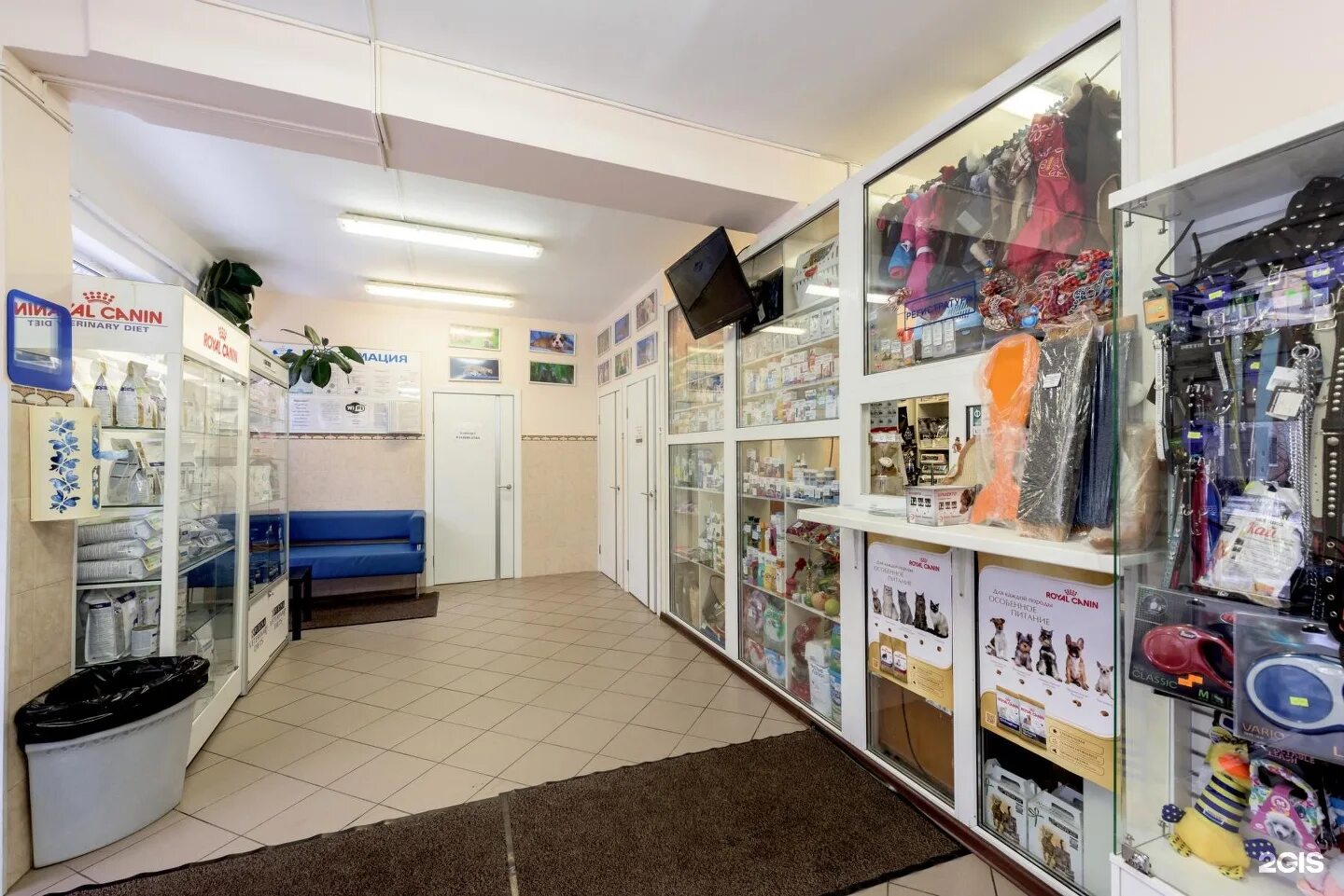 ситивет дыбенко 25. ветеринарная дыбенко. дыбенко 21 поликлиника. ветеринарная клиника на дыбенко. клиника на дыбенко.