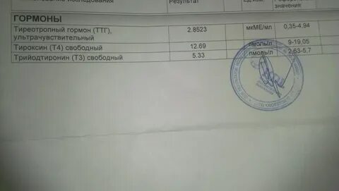 Сдача анализа на ттг и т4 подготовка
