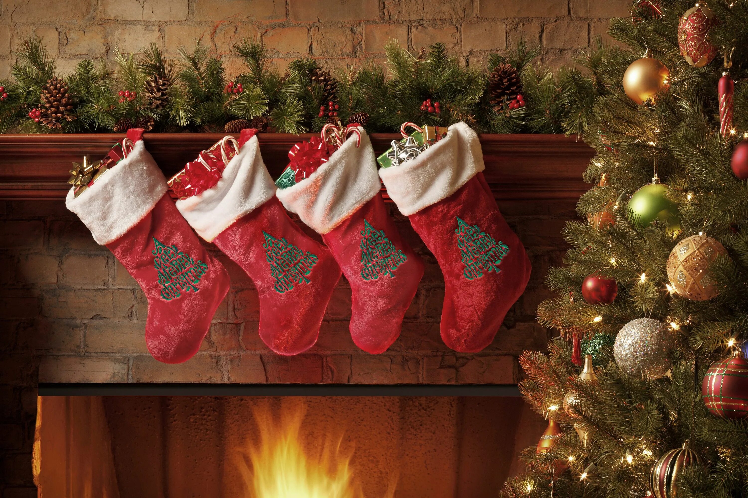 Christmas traditions december. Рождественские традиции в испании. Рождественская елка на улице. Рождество праздник в америке. Christmas traditions december.