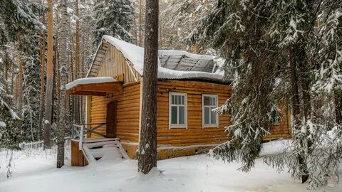 Телефоны шаля
