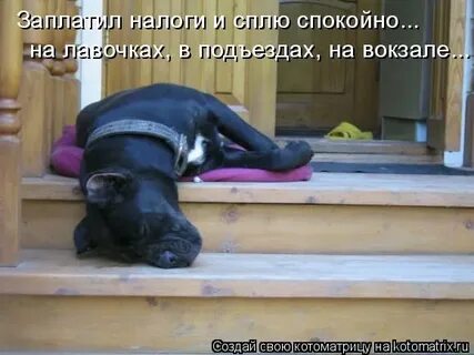 Спите спокойно ошибка не повторится
