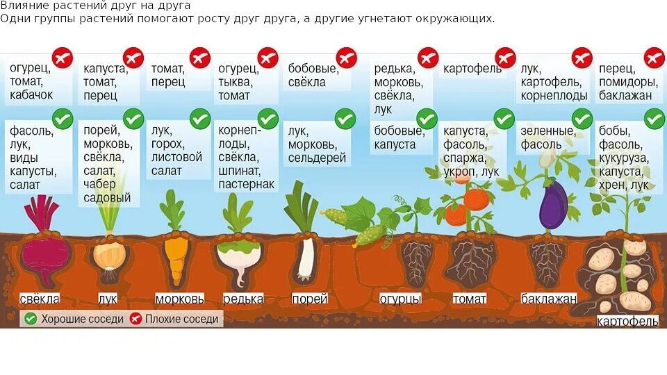 Какое минимальное число раз дачнику придется