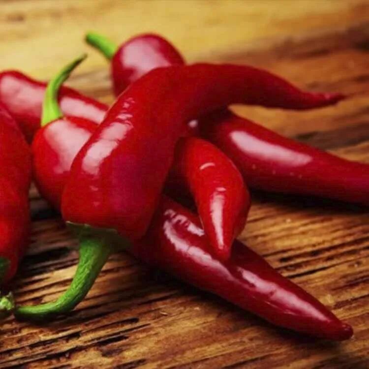 Перец чили. Перец горький чили. Перец стручковый острый. Покажи красный перец. Покажи красный перец.