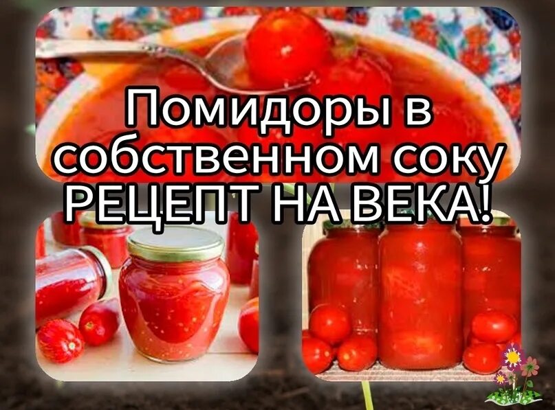 Томаты в собственном соку рецепт как приготовить. Томаты в собственном. томаты в собственном соку правильное решение. томаты в собственном соку пятерочка.