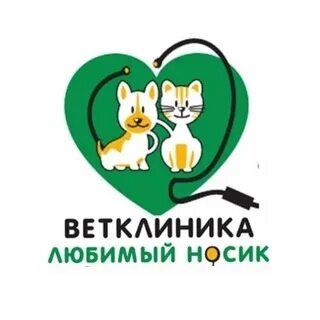 6 вет