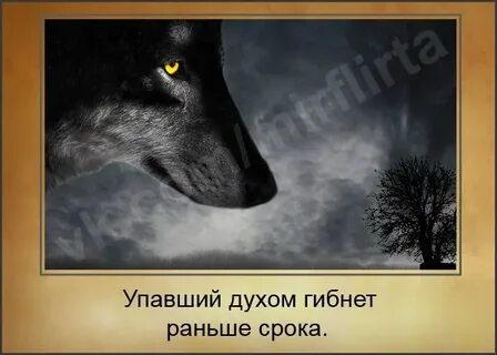 Упавший гибнет раньше срока