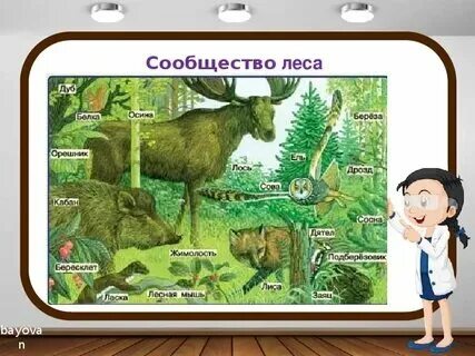 Природное сообщество огород 3 класс
