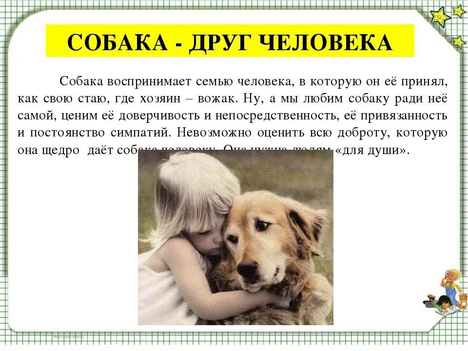 Рассказ собака друг человека. Собака друг человека сочтне. Собака друг человека сочинение. Сочинение на тему собака друг человека.