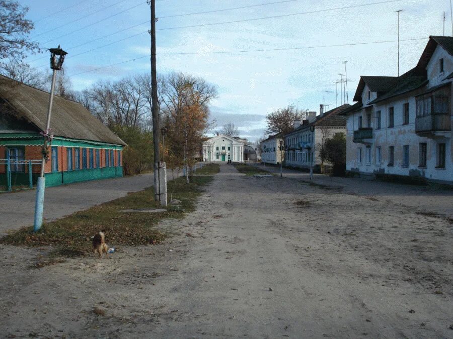 Белая березка брянская погода. Пгт белая Березка. Белая берёзка Брянская область. Посёлок белая берёзка Брянской области. Поселок белая Березка Вики.