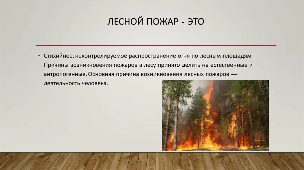 Пожар в лесу какой фактор. Причины природных пожаров. Причины пожара в лесу. Причины возникновения лесных пожаров. Причины пожаров в лесах.