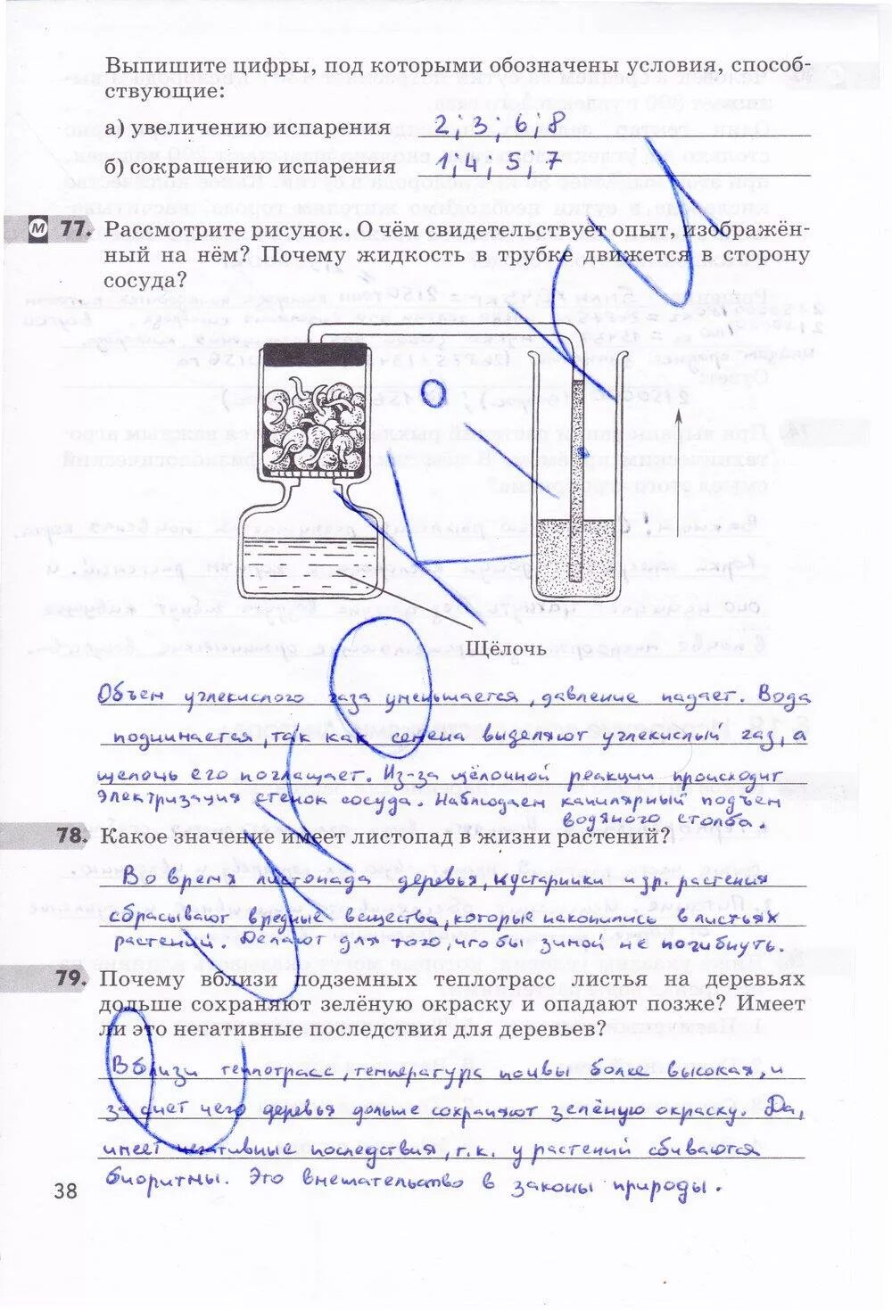 Расскажите об опыте изображенном на рисунке 152. Биология 6 класс рабочая тетрадь Пасечник номер 38.